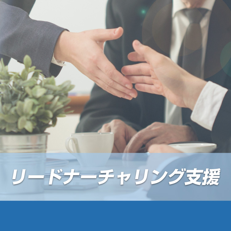 リードナーチャリング支援