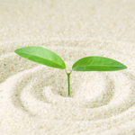 ナーチャリングコール